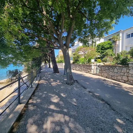 Ljubo V 10 M From The