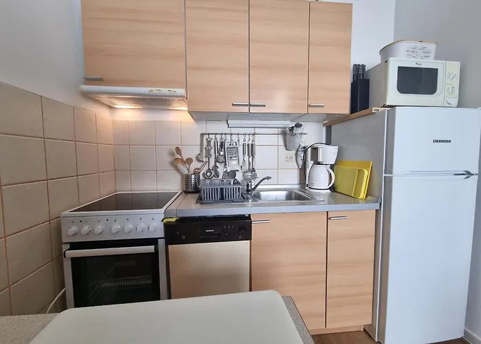 Appartement Ljubo V 10 M From The *