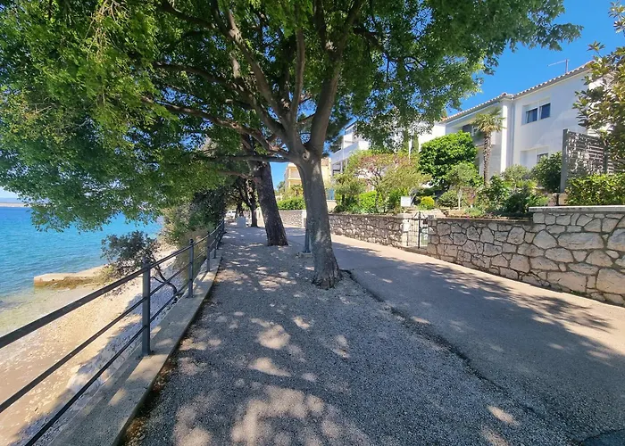Ljubo V 10 M From The
